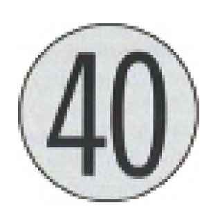 Placa de Velocidad Homologada 40 Diametro 200/300mm
