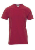 Camiseta REGENT Mod. CHICO
