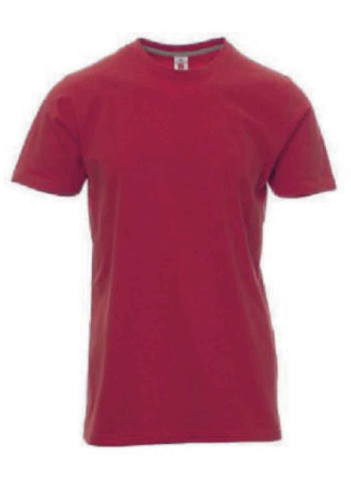 Camiseta REGENT Mod. CHICO